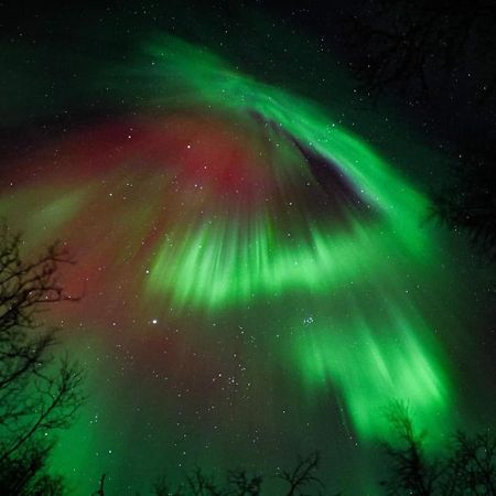 Egen Modern Mysig Laegenhet Daire Kiruna Dış mekan fotoğraf