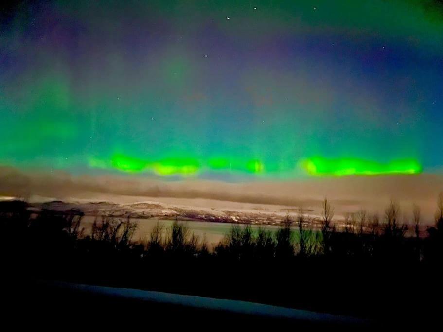 Egen Modern Mysig Laegenhet Daire Kiruna Dış mekan fotoğraf