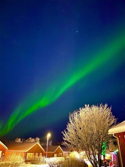 Egen Modern Mysig Laegenhet Daire Kiruna Dış mekan fotoğraf