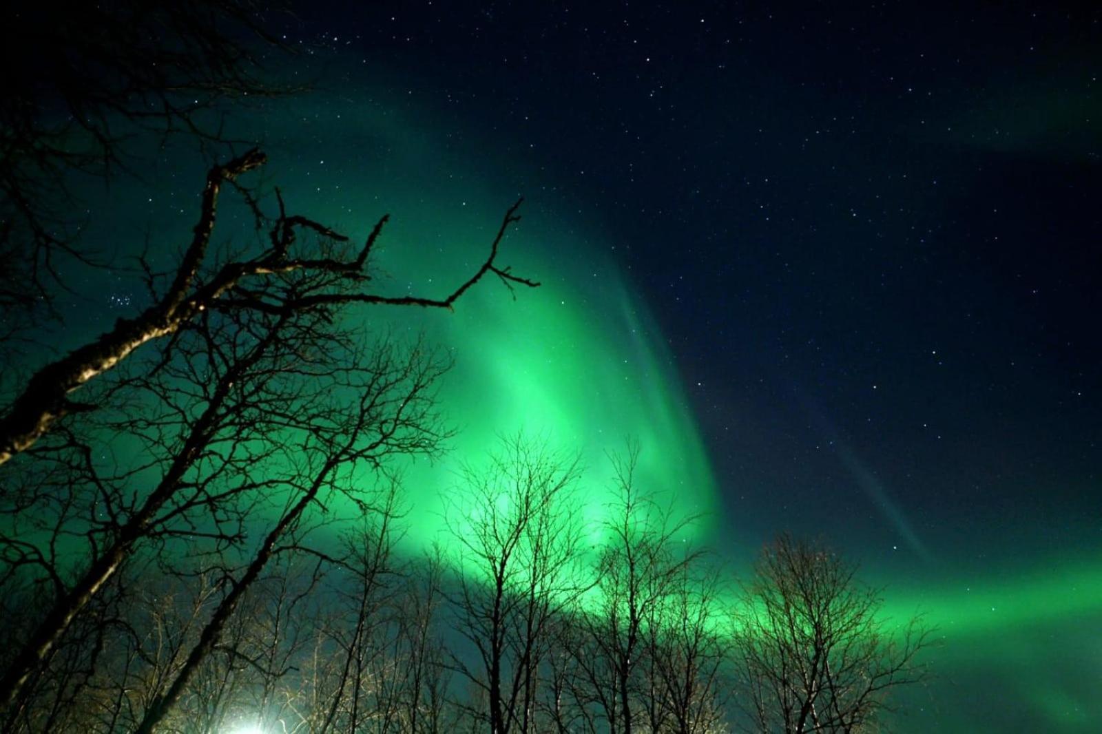 Egen Modern Mysig Laegenhet Daire Kiruna Dış mekan fotoğraf